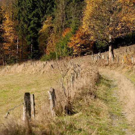 Hightop * وينتربرغ