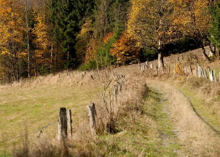 Hightop * وينتربرغ